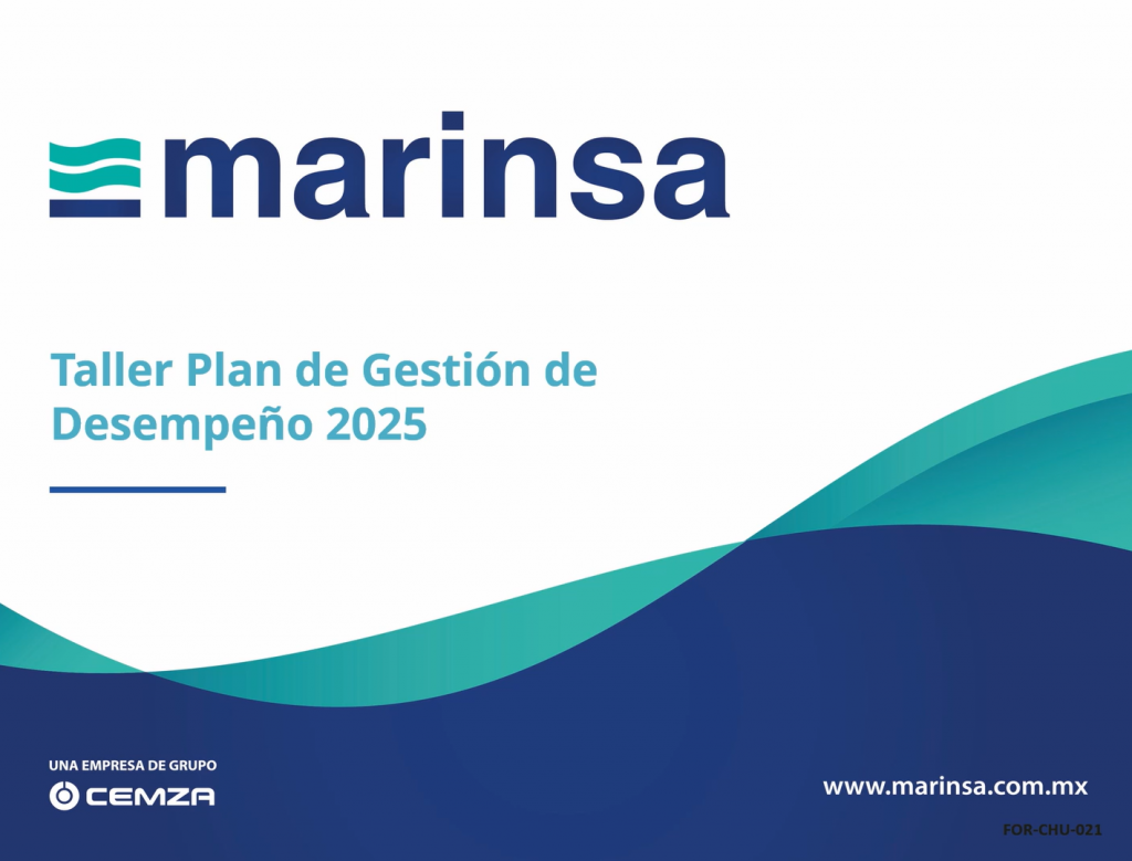 Gestion de desempeño